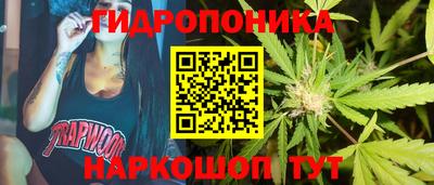 каннабис Сланцы