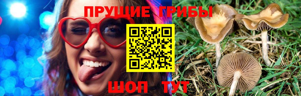 сколько стоит  Вход с VPN  Орск  Галлюциногенные грибы Magic Shrooms 